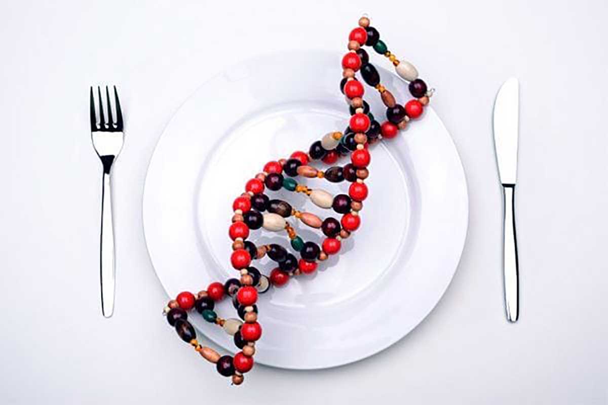 Nutrigenomics: the key to ageing gracefully
