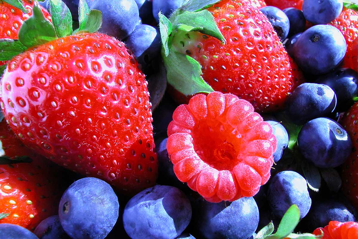 Antioxidants — time to reconsider the principles? Part 2